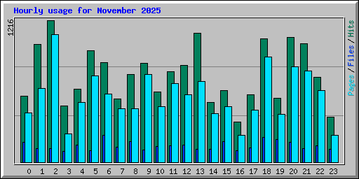 Hourly usage for November 2025